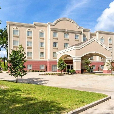 Comfort Suites Mandeville - Covington Esterno foto